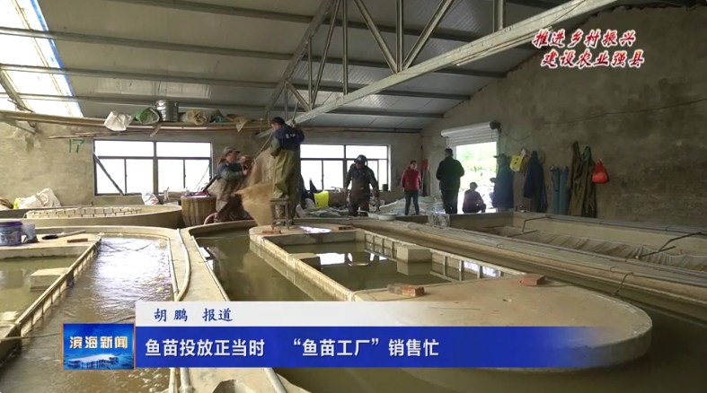 【推进乡村振兴 建设农业强县】鱼苗投放正当