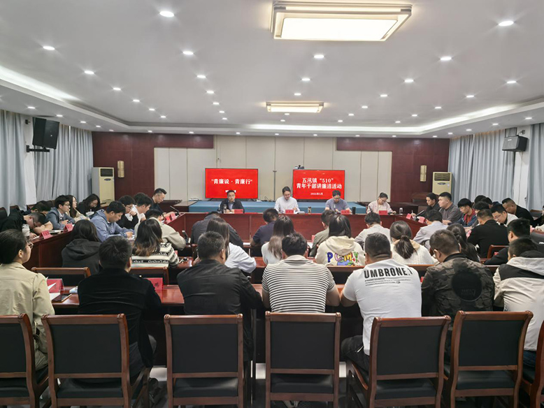 青春揚正氣 清廉伴我行——五汛鎮(zhèn)青年干部廉潔教育活動側記
