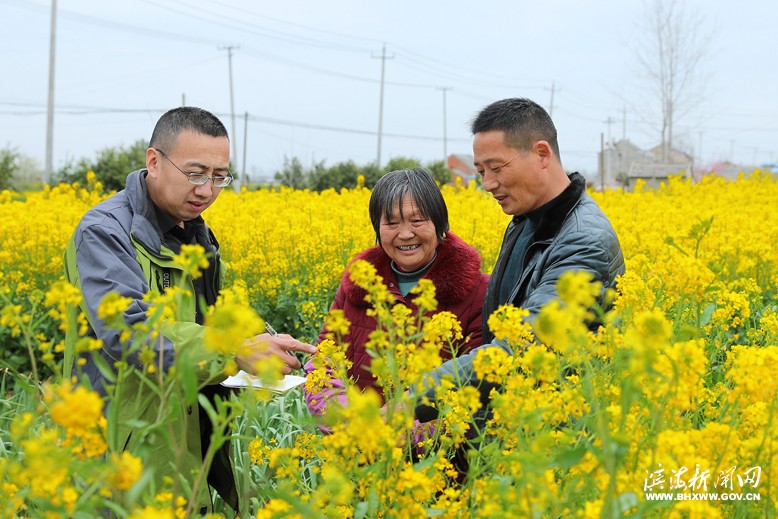 天場(chǎng)鎮(zhèn)幫扶人員到海峰村低收入農(nóng)戶家中察看油菜籽長勢(shì)情況