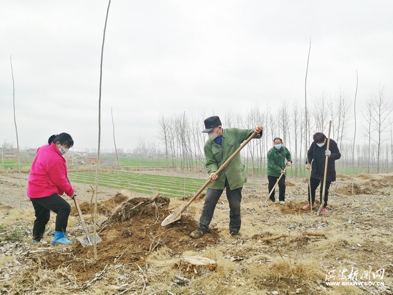 各鎮(zhèn)（區(qū)、街道）掀起植樹綠化熱潮